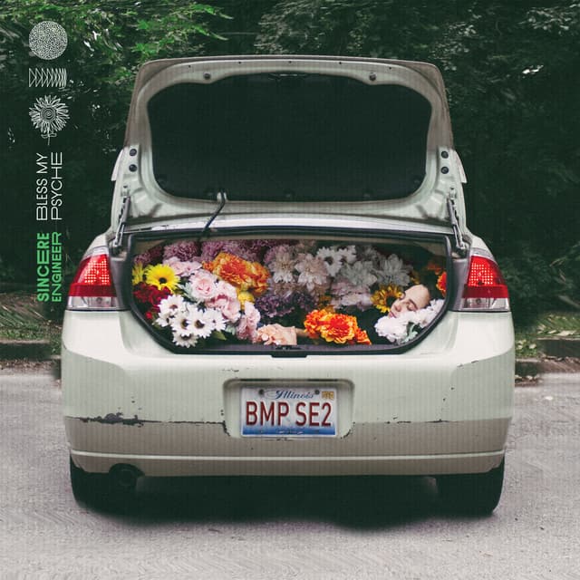 Album cover art for Bless My Psyche