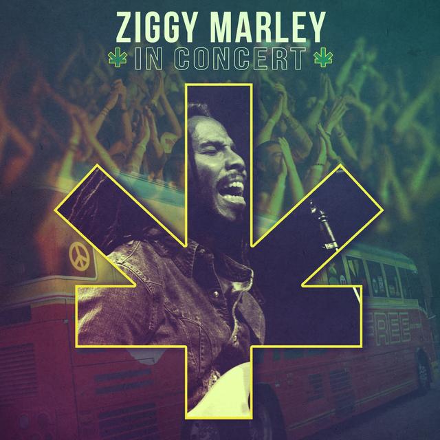 Album cover art for In Concert