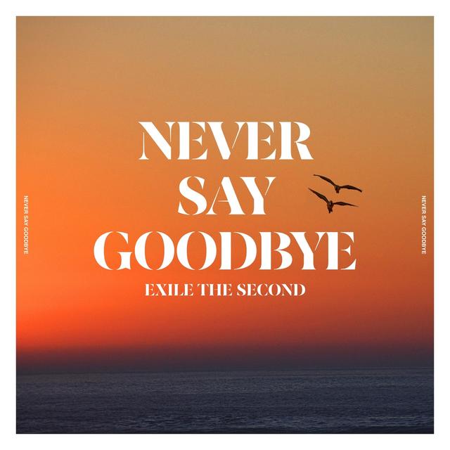 Album cover art for NEVER SAY GOODBYE