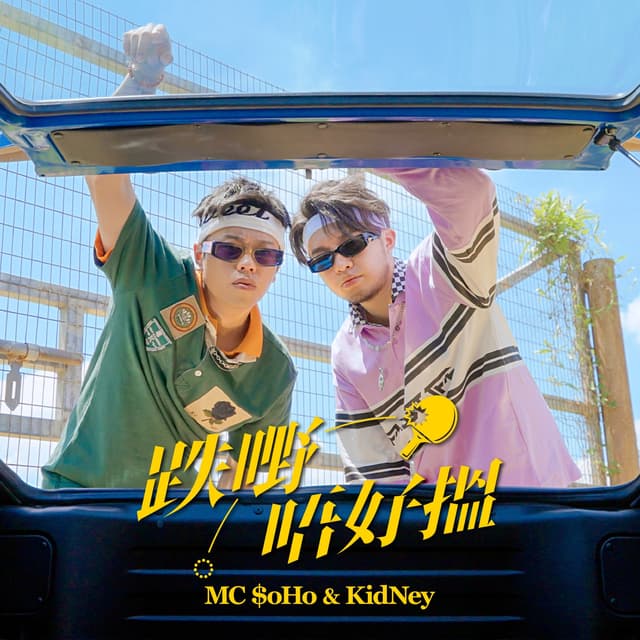 Album cover art for 跌嘢唔好搵