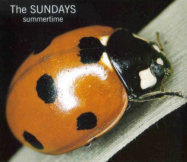 Album cover art for Summertime