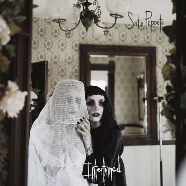 Album cover art for Intertwined