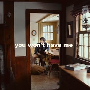 Album cover art for You Won't Have Me