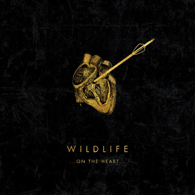 Album cover art for …on the Heart…