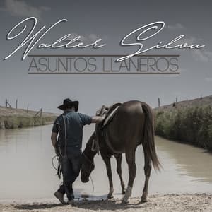 Album cover art for Asuntos Llaneros