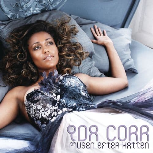 Album cover art for Musen Efter Katten