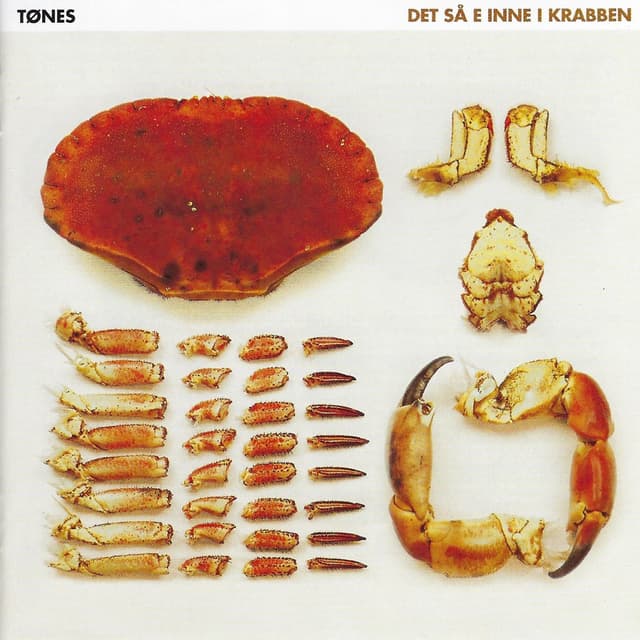 Album cover art for Det så e inne i krabben