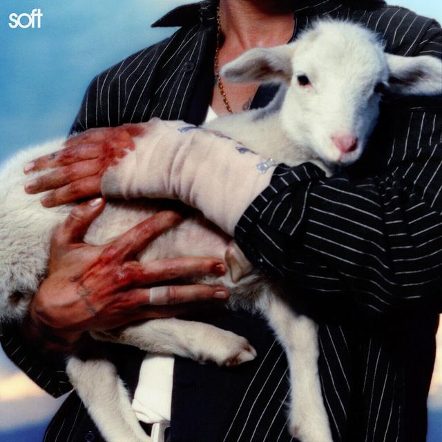 Album cover art for Soft