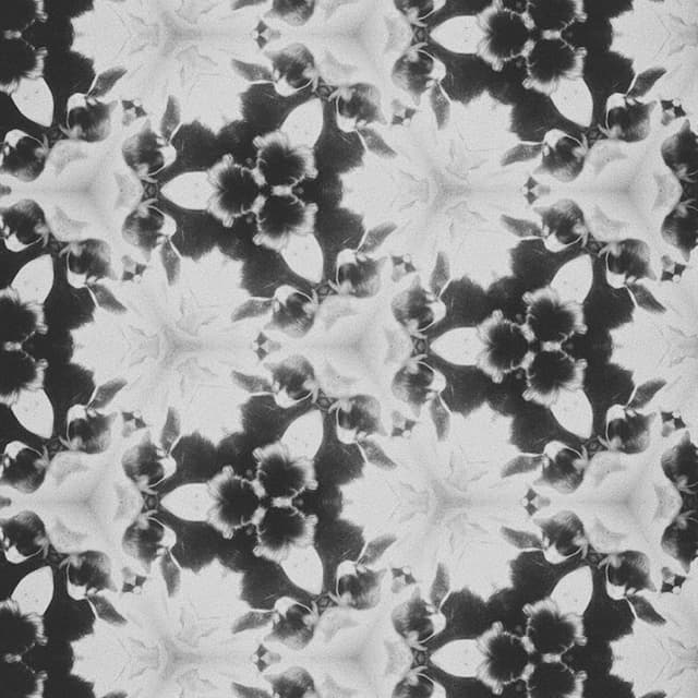 Album cover art for single