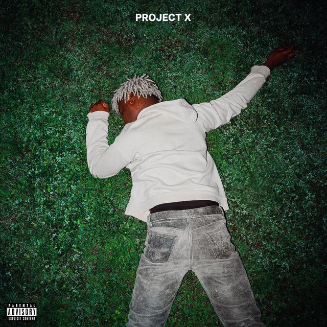 Album cover art for Project X