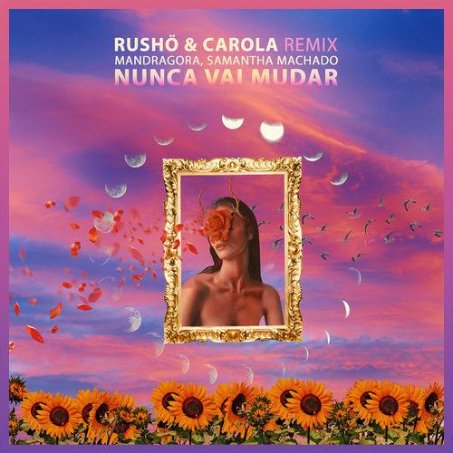 Album cover art for Nunca Vai Mudar (Remix)