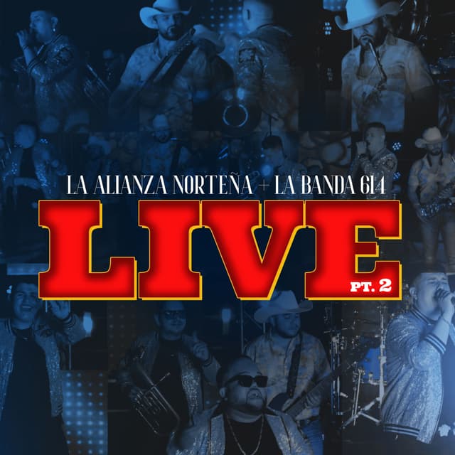 Album cover art for Live Pt. 2