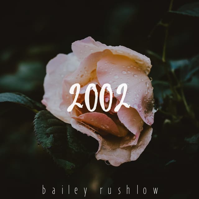 Album cover art for 2002