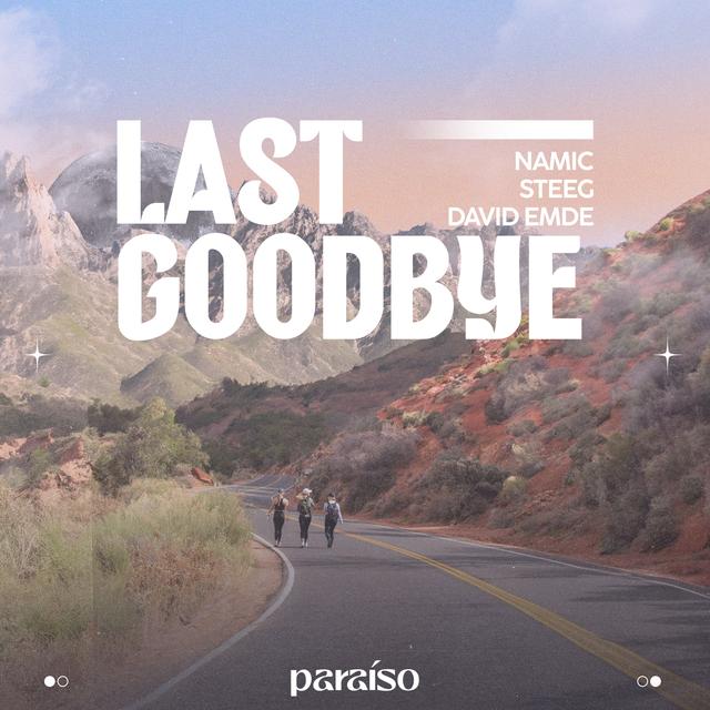 Album cover art for Last Goodbye - Single