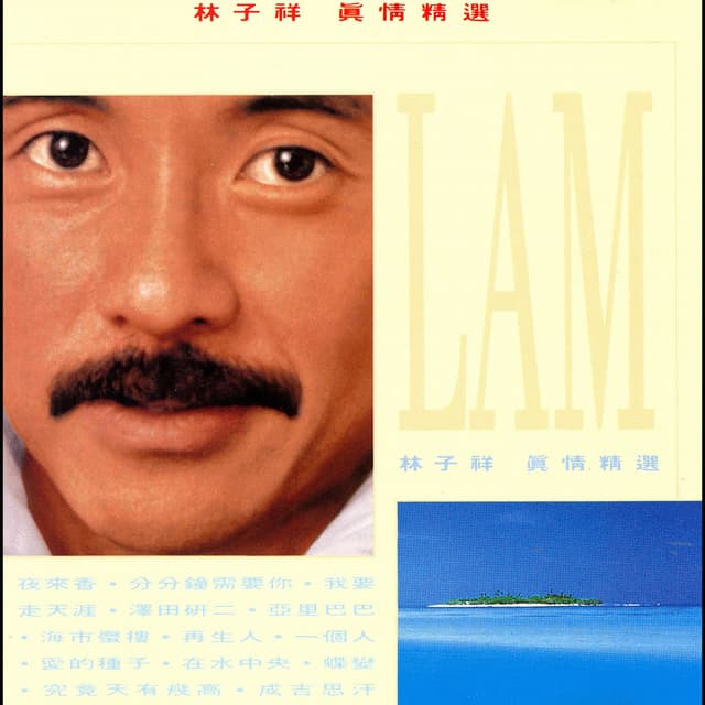 Album cover art for 真情精選