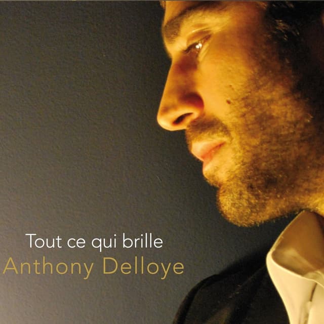 Album cover art for Tout Ce Qui Brille