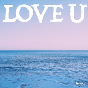 Album cover art for LOVE U