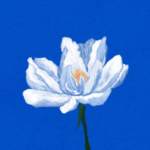 Album cover art for Light