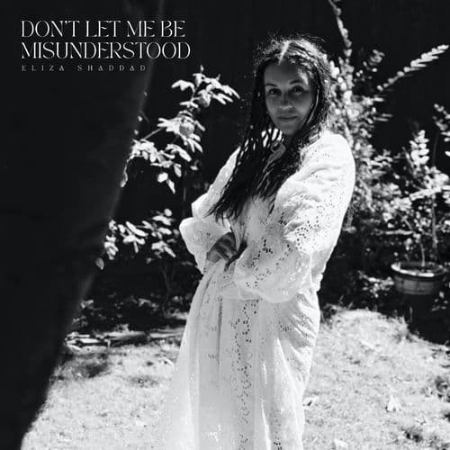 Album cover art for Don't Let Me Be Misunderstood