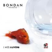 Album cover art for I Will Survive
