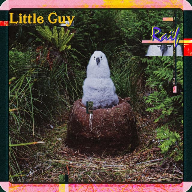 Album cover art for Little Guy