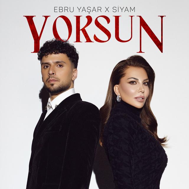 Album cover art for Yoksun