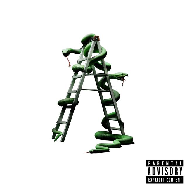 Album cover art for Snakes & Ladders