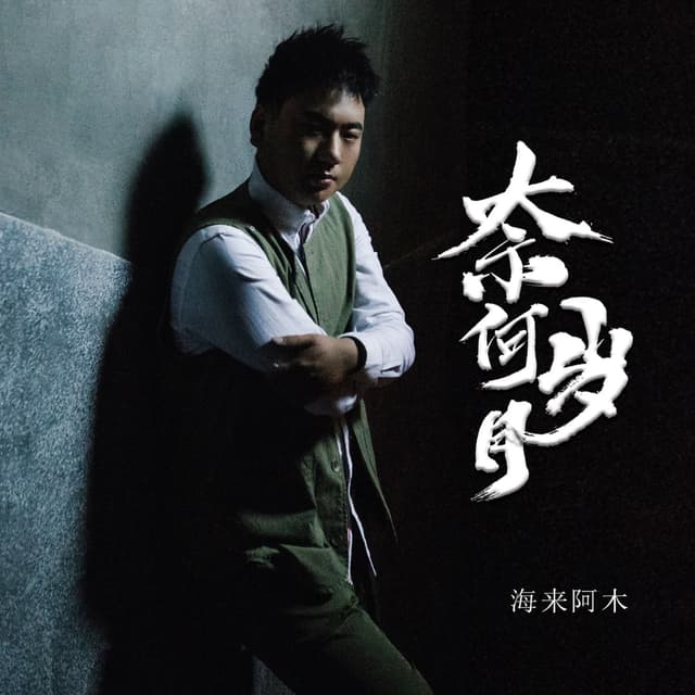 Album cover art for 奈何岁月