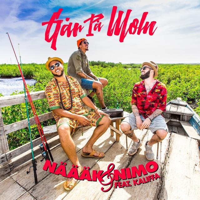 Album cover art for Går på moln