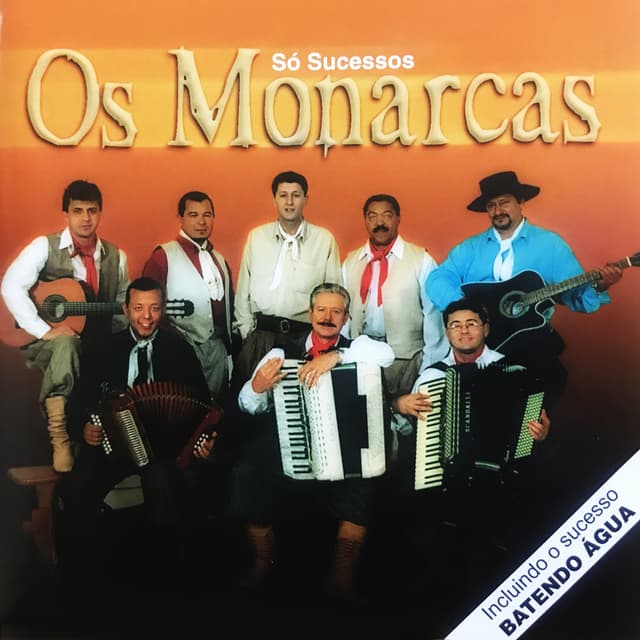 Album cover art for Só Sucessos