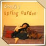 Windy Spring