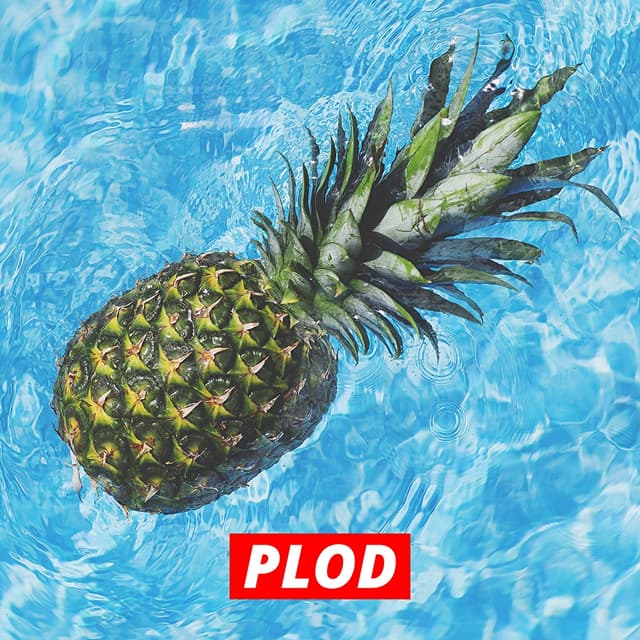 Album cover art for Plod