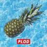 Plod