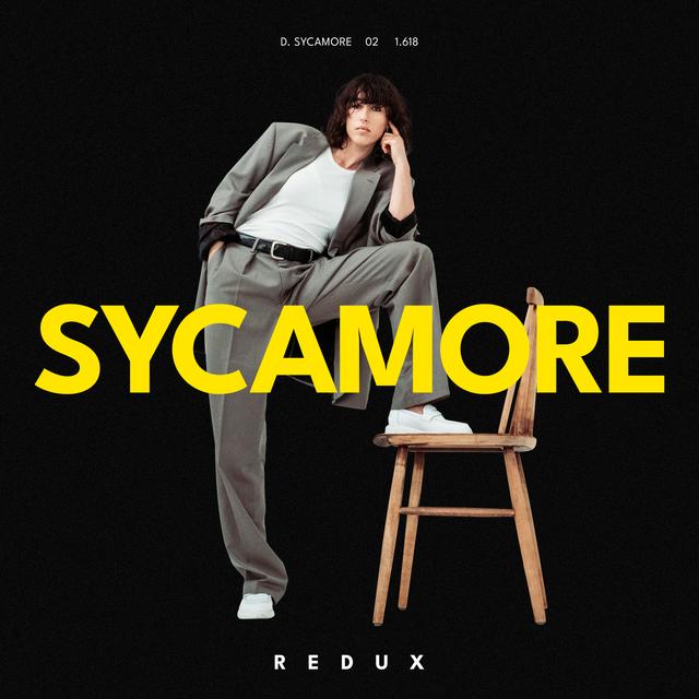 Album cover art for Sycamore Redux