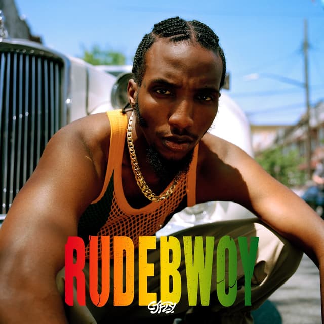 Album cover art for Rudebwoy