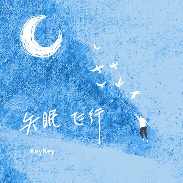 Album cover art for 失眠飞行