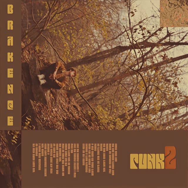 Album cover art for punk2