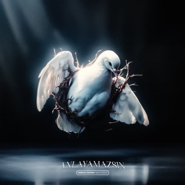 Album cover art for Anlayamazsın