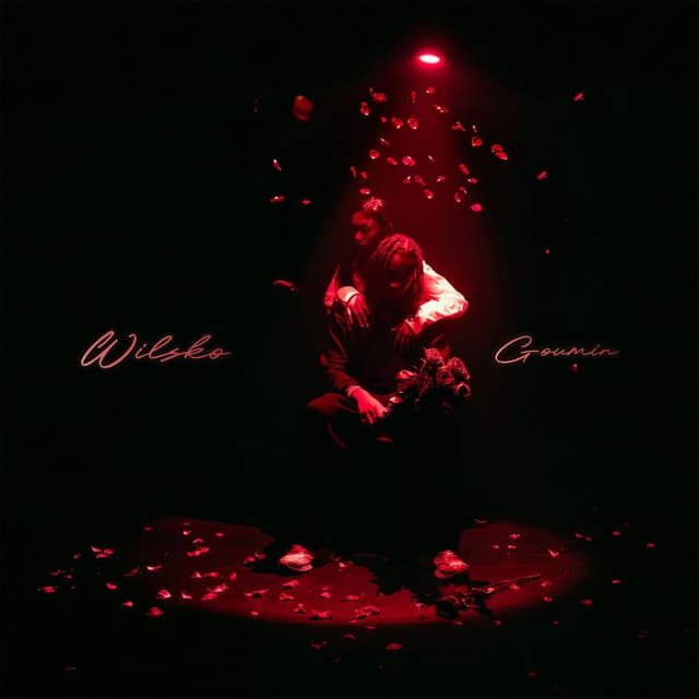 Album cover art for Goumin
