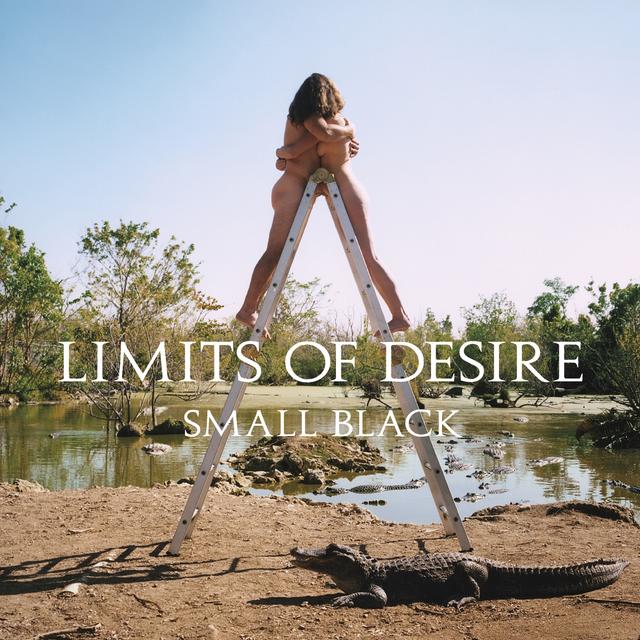 Album cover art for Limits Of Desire