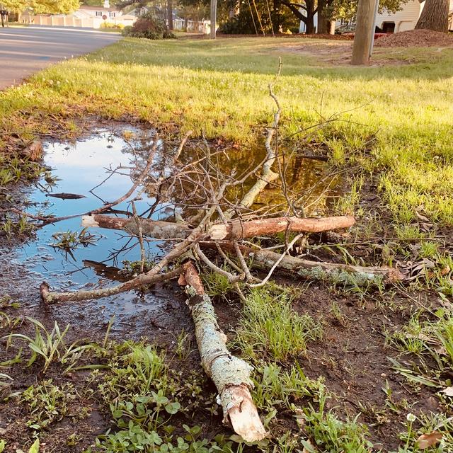 Album cover art for Sticks