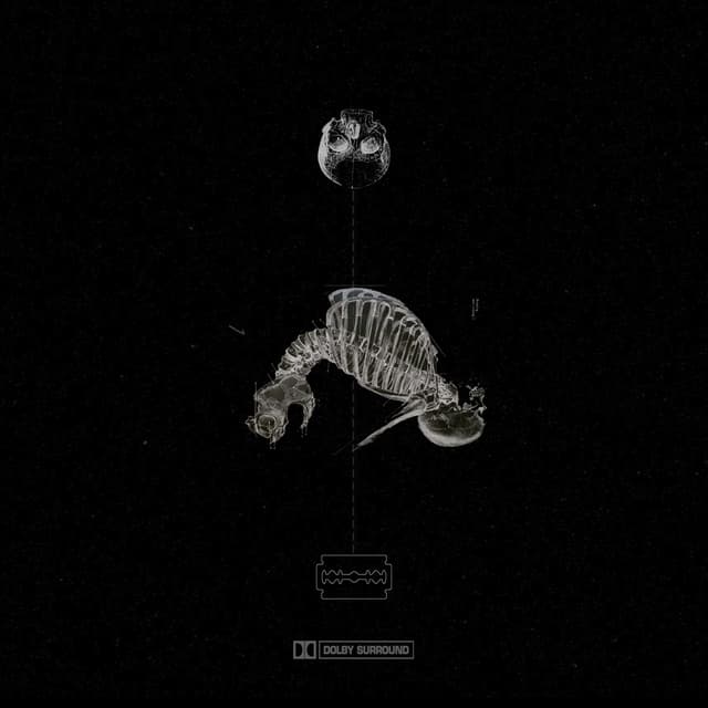 Album cover art for occam's razor