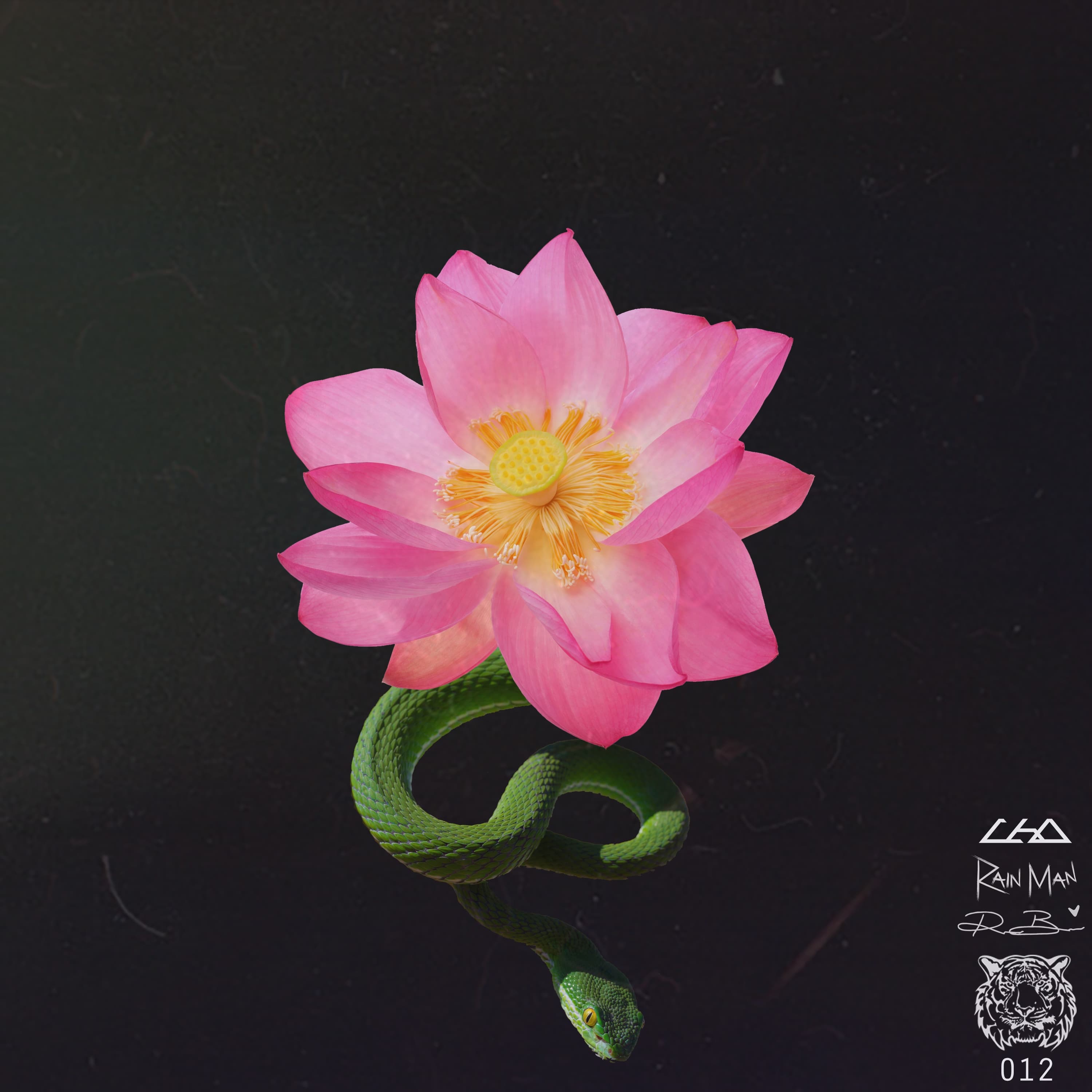 Lyric cover art