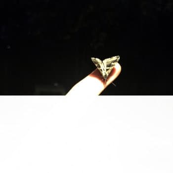 Album cover art for buying GRAVITY