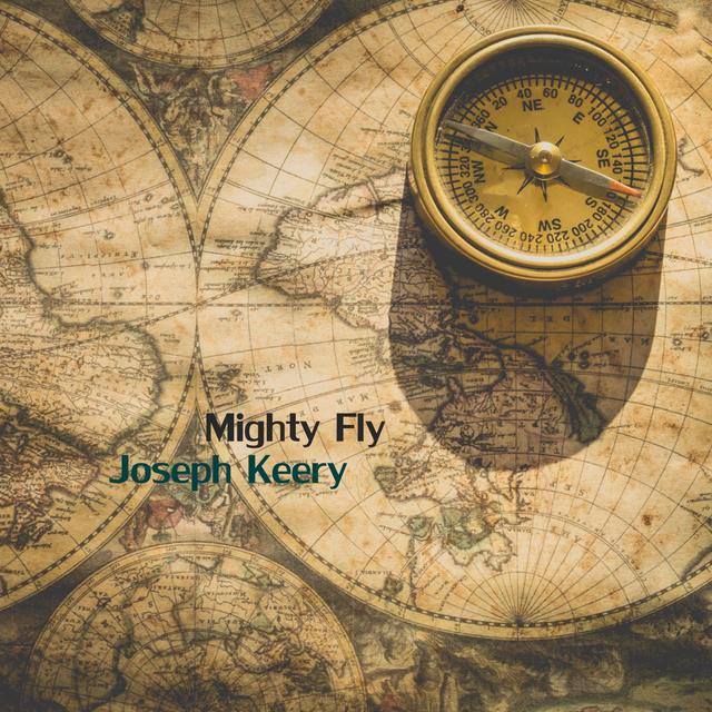 Album cover art for Mighty Fly
