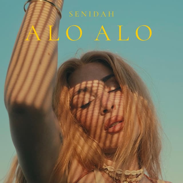 Album cover art for Alo Alo