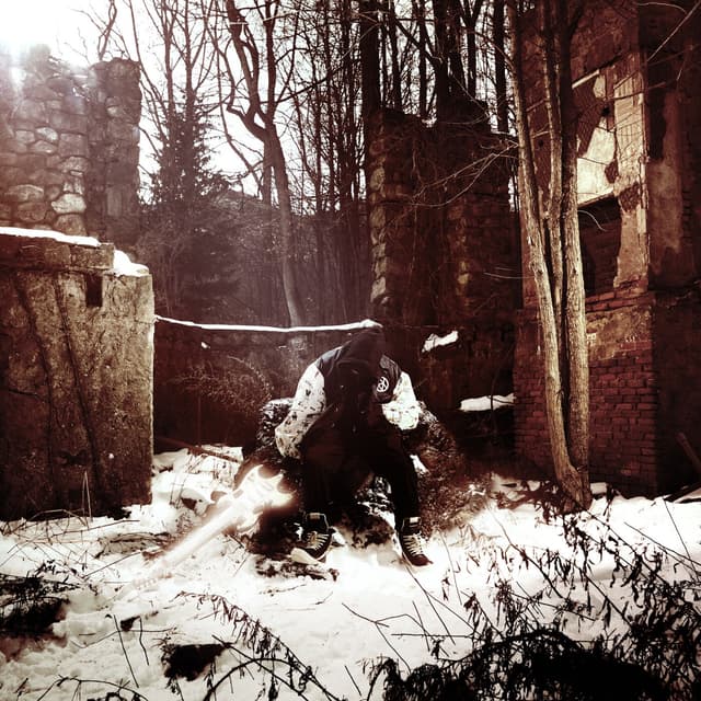 Album cover art for The Indomitable Human Spirit