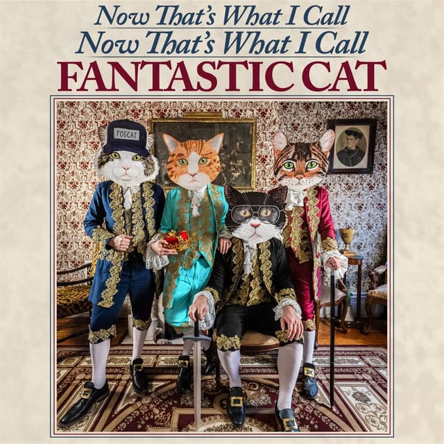 Album cover art for Now That's What I Call Now That’s What I Call Fantastic Cat