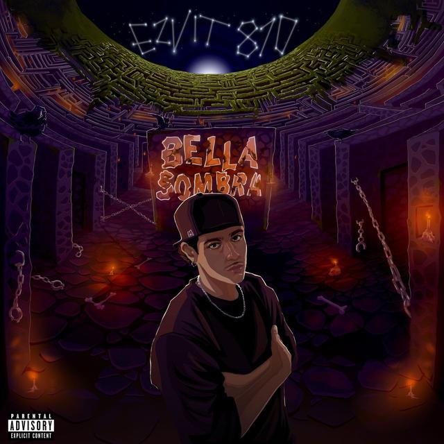 Album cover art for Bella Sombra