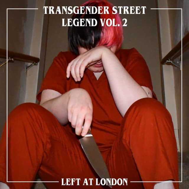 Album cover art for Transgender Street Legend, Vol. 2